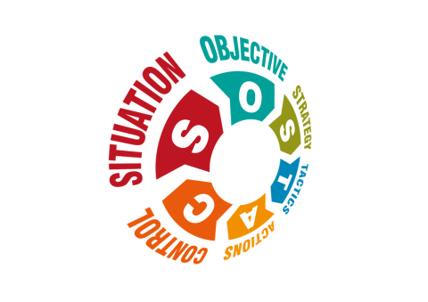 SOSTAC® wheel highlighting Situation