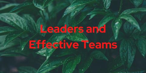 Leaders and Effective Teams